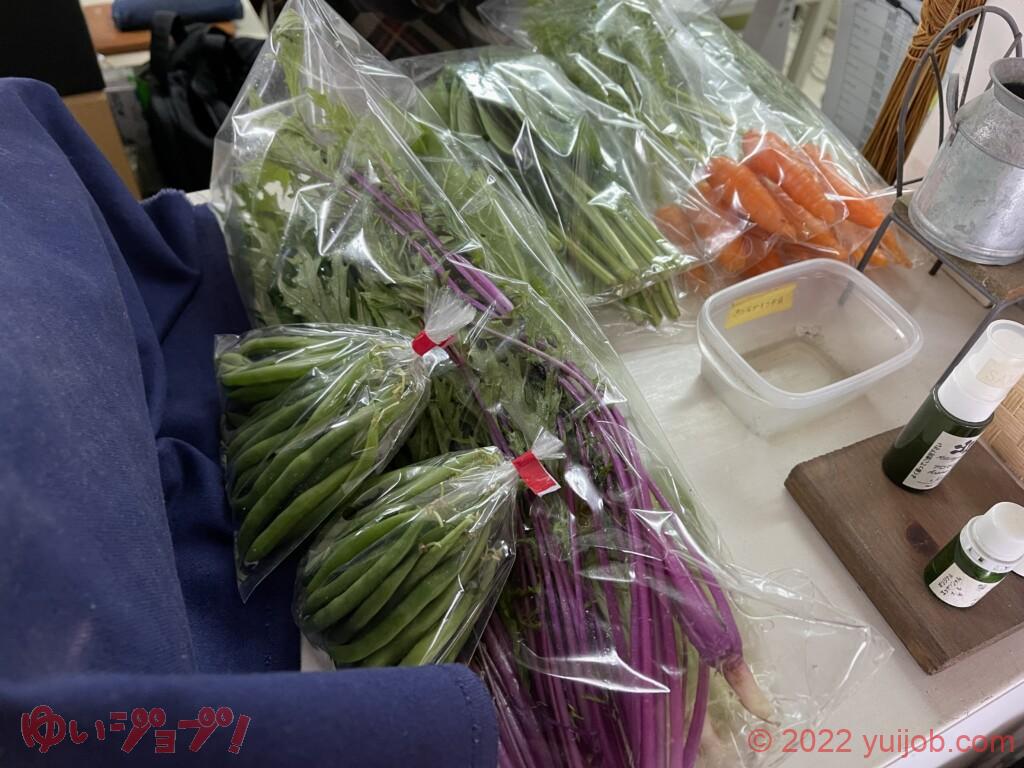 おきちゃんが購入した そるべじ写真